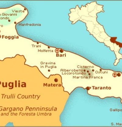 Wijngebied in opkomst: Puglia (Apulië)