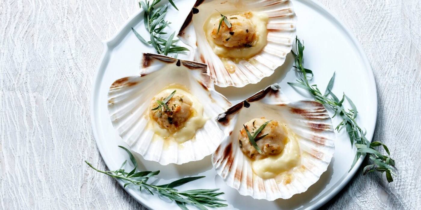 Gegratineerde coquilles