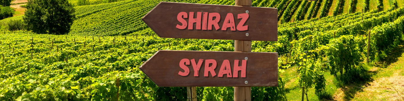 Wat is het verschil tussen shiraz en syrah? Lees het hier...