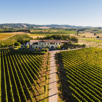 Domaine Gayda wijnen uit de Languedoc, verkrijgbaar bij Flesjewijn.com