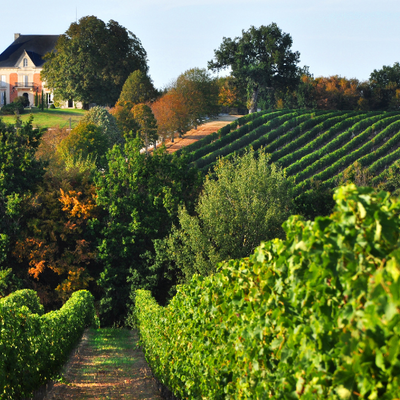 Frankrijk als wijnland, ervaar de Franse wijnen - Flesjewijn.com