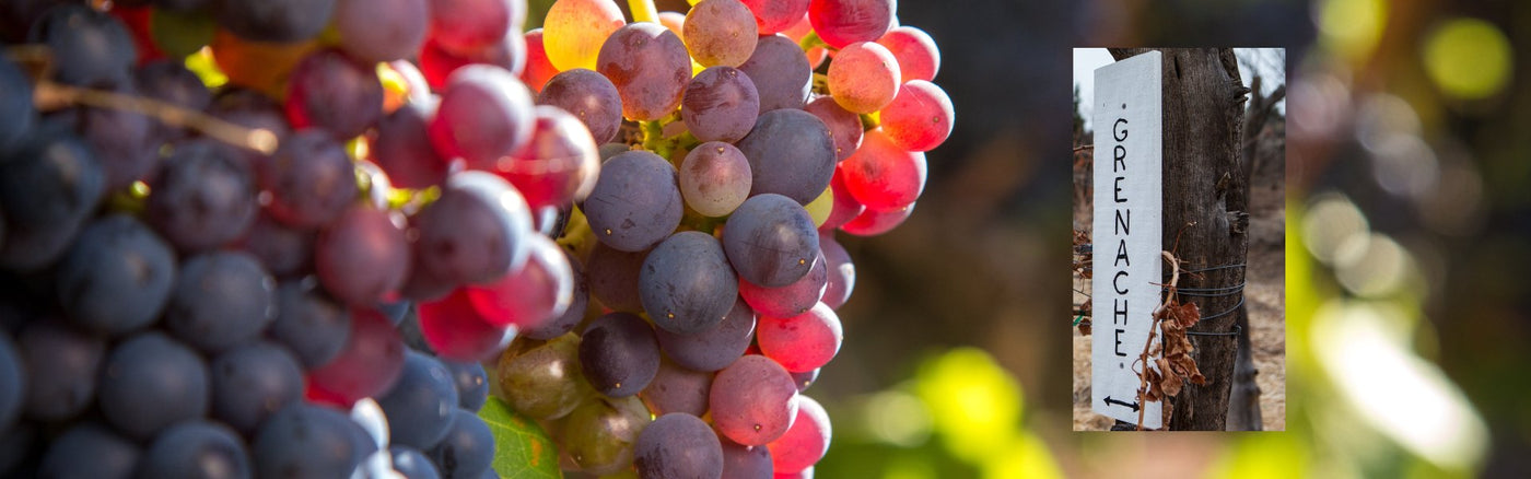 Grenache wijnen - Bestellen bij Flesjewijn.com