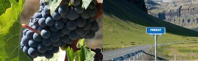 Priorat wijn kopen