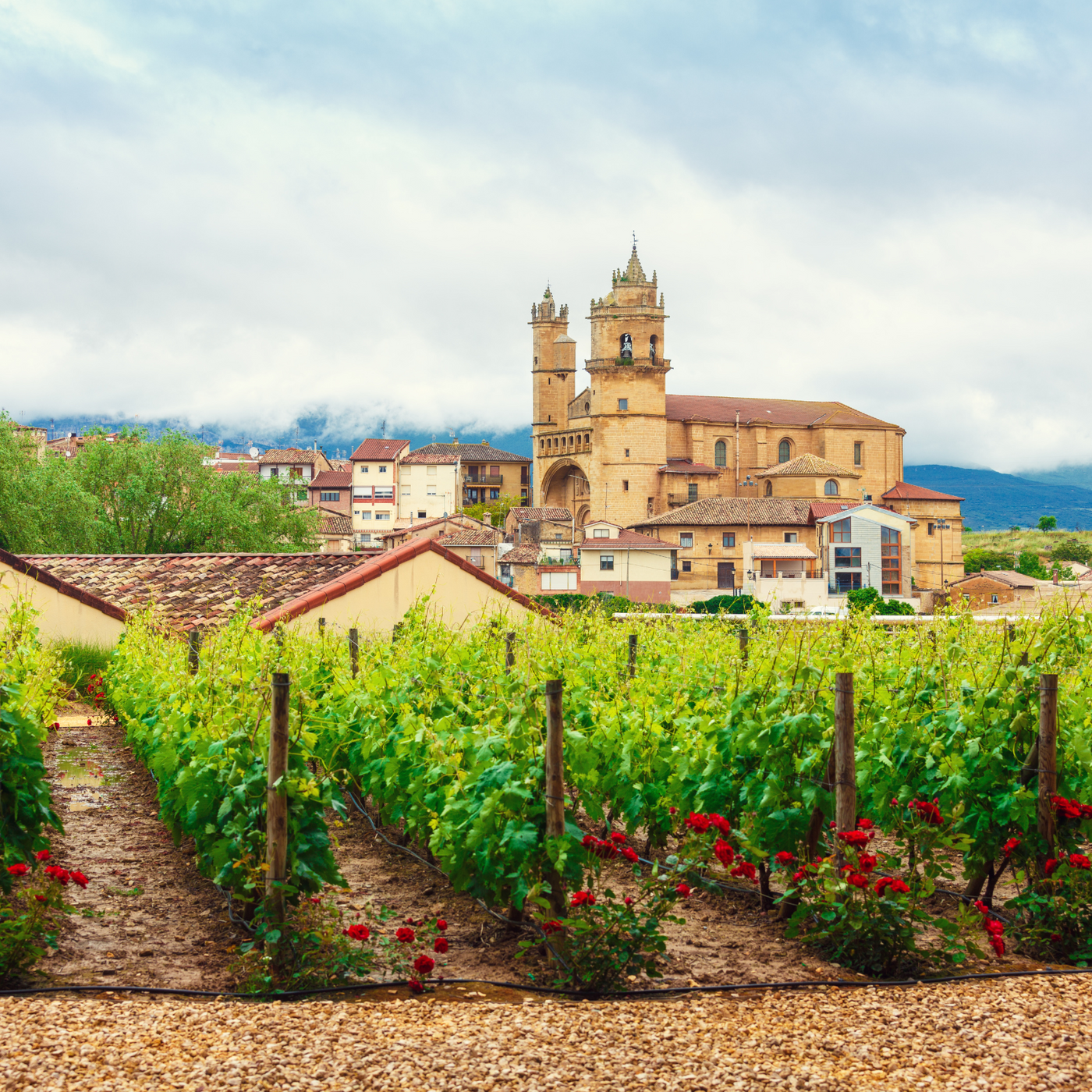 Rioja wijnen, ontdek het Spaanse temperament in deze wijnen - Flesjewijn.com