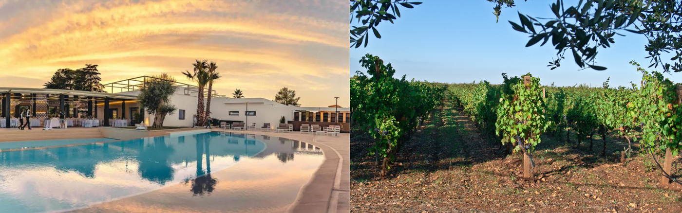 Tenuta San Marco