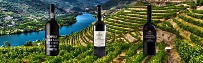 2018 Vintage Port kopen bij Flesjewijn.com