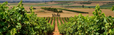 Voché Wines