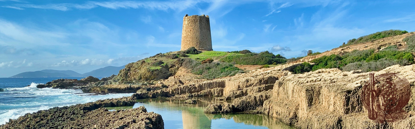 Wijn uit Sardinië kopen