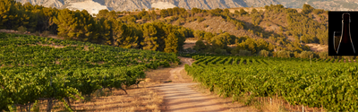 Clos Amador