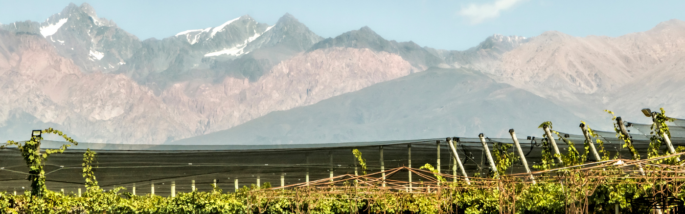 De Portillo wijnen uit Mendoza en van het bekende Bodegas Salentein bestel je bij Flesjewijn.com