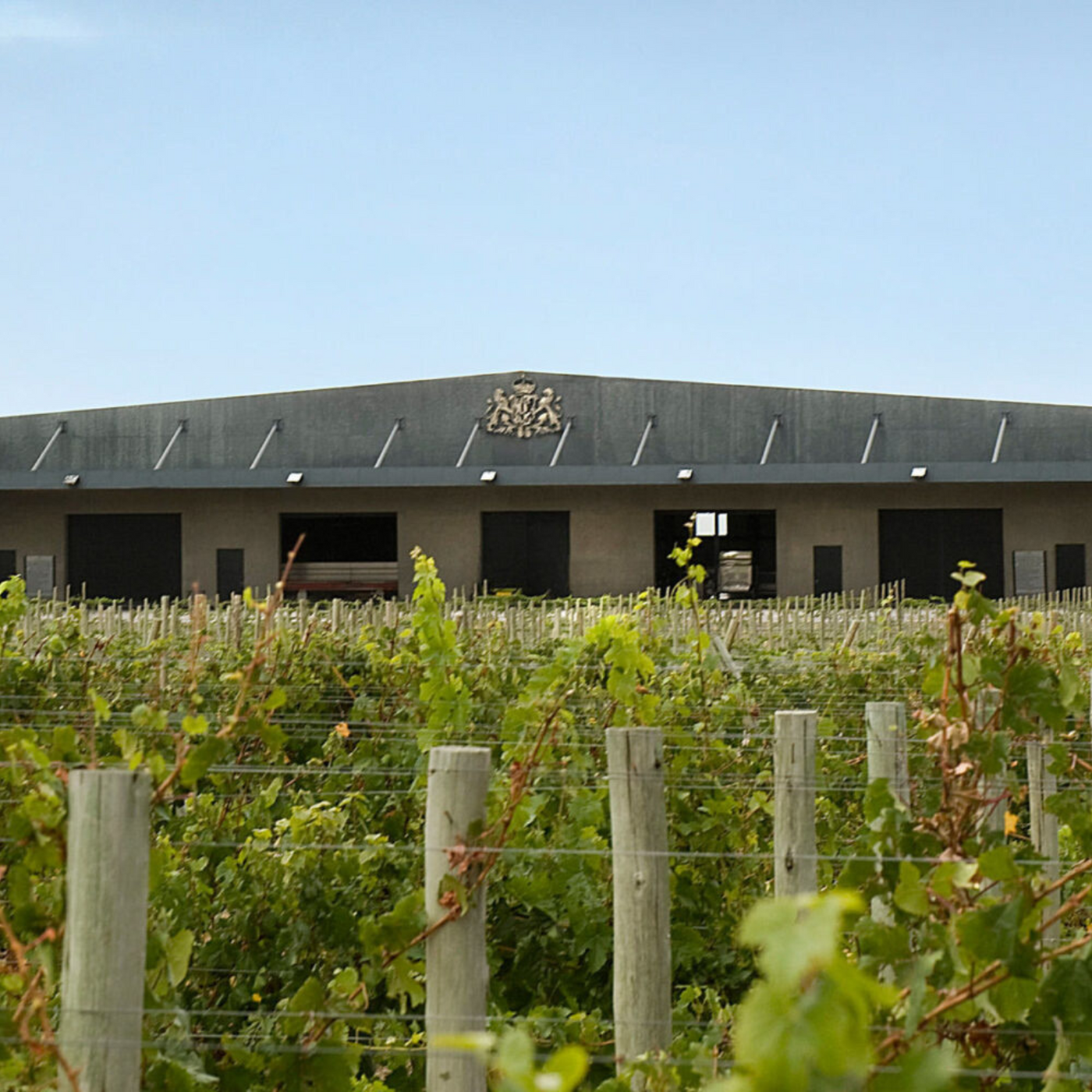 De Portillo wijnen uit Mendoza en van het bekende Bodegas Salentein bestel je bij Flesjewijn.com