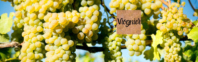 Viognier wijnen