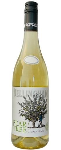 Bellingham Pear Tree White