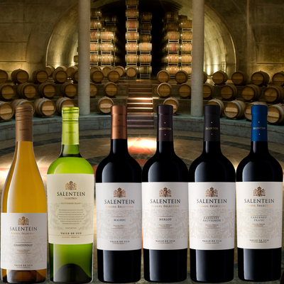 Salentein barrel selection wijnen in Salentein wijnkelder